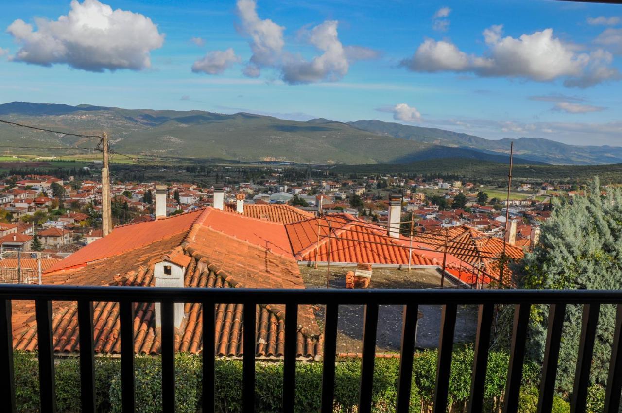 Dandy Villas Amfiklia - Pasithea - Stunning View - Fireplace - Parking Amfikleia Exteriör bild